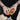 StrapIt Lifting Straps - Beige - MakeIt